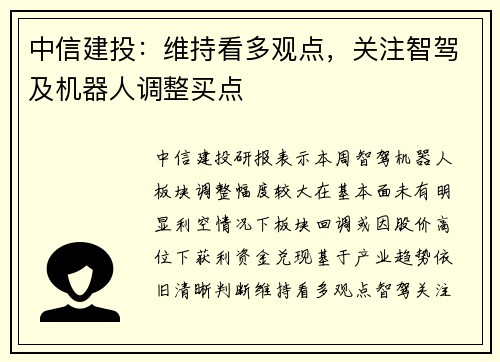 中信建投：维持看多观点，关注智驾及机器人调整买点