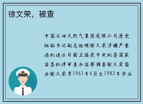 徐文荣，被查
